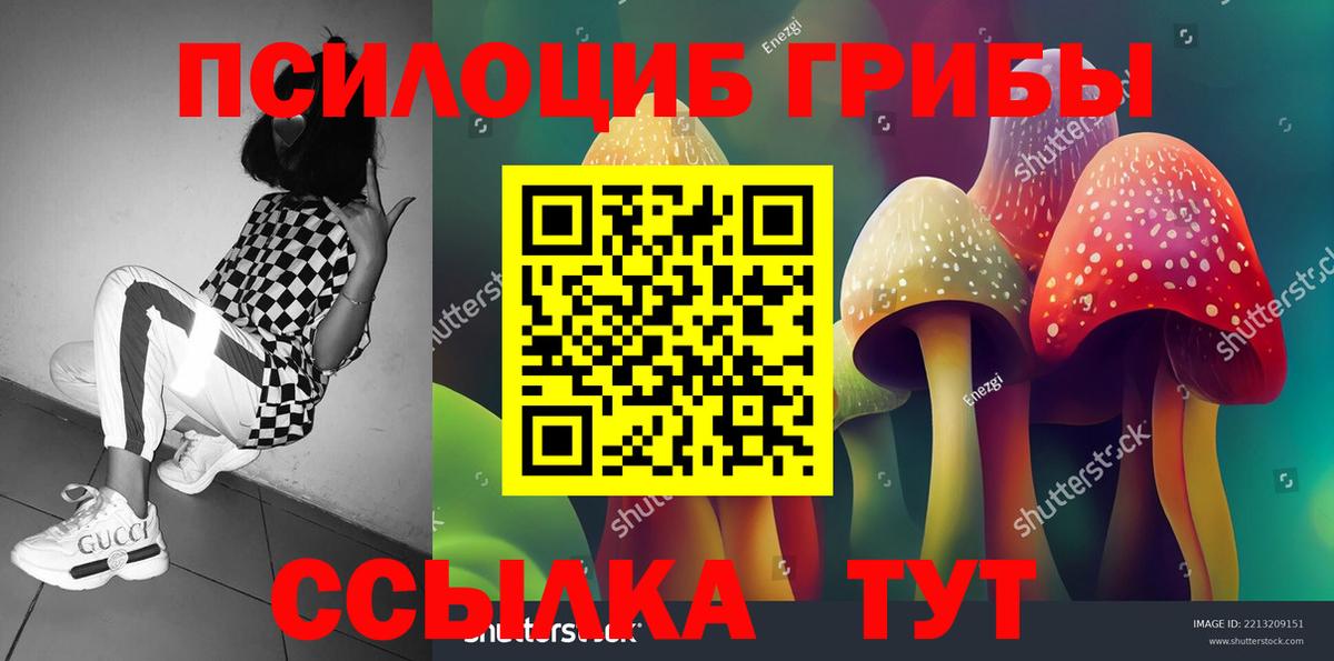 Псилоцибиновые грибы Cubensis  Вход с VPN  Старый Оскол 